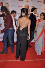 at Stardust Awards 2013 red carpet in Mumbai on 26th jan 2013 (404).JPG