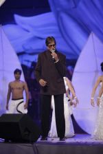 Amitabh Bachchan at Global Sounds Of Peace live concert in Andheri Sports Complex, Mumbai on 30th Jan 2013 (217).JPG