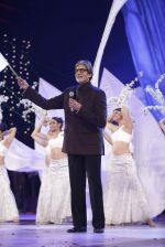 Amitabh Bachchan at Global Sounds Of Peace live concert in Andheri Sports Complex, Mumbai on 30th Jan 2013 (221).JPG