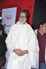 Amitabh Bachchan at Mai Premiere in Mumbai on 31st Jan 2013 (48).JPG