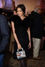 Kalyani Chawla at the event SOTHEBY_S PRESENTS INDIA FANTASTIQUE in The Imperial, New Delhi on 31st Jan 2013.JPG