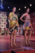 at Pria Kataria Puri fashion show for Signature derby in Mumbai on 31st Jan 2013 (36).JPG