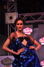 at Pria Kataria Puri fashion show for Signature derby in Mumbai on 31st Jan 2013 (81).JPG