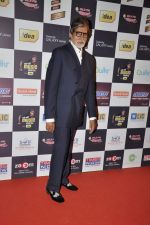 Amitabh Bachchan at Radio Mirchi music awards red carpet in Mumbai on 7th Feb 2013 (112).JPG