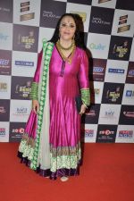 Ila Arun at Radio Mirchi music awards red carpet in Mumbai on 7th Feb 2013 (109).JPG
