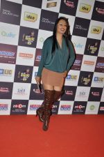 Kashmira Shah at Radio Mirchi music awards red carpet in Mumbai on 7th Feb 2013 (74).JPG
