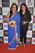 at Radio Mirchi music awards red carpet in Mumbai on 7th Feb 2013 (118).JPG