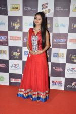 at Radio Mirchi music awards red carpet in Mumbai on 7th Feb 2013 (12).JPG