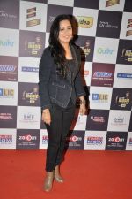 at Radio Mirchi music awards red carpet in Mumbai on 7th Feb 2013 (120).JPG