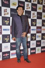 at Radio Mirchi music awards red carpet in Mumbai on 7th Feb 2013 (195).JPG