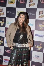 at Radio Mirchi music awards red carpet in Mumbai on 7th Feb 2013 (208).JPG