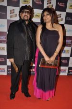 at Radio Mirchi music awards red carpet in Mumbai on 7th Feb 2013 (38).JPG