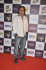 at Radio Mirchi music awards red carpet in Mumbai on 7th Feb 2013 (68).JPG