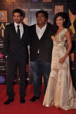 Ram Kapoor at Star Guild Awards red carpet in Mumbai on 16th Feb 2013 (24).JPG