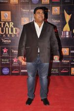Ram Kapoor at Star Guild Awards red carpet in Mumbai on 16th Feb 2013 (26).JPG