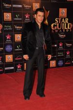 Salman Khan at Star Guild Awards red carpet in Mumbai on 16th Feb 2013 (128).JPG