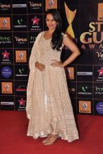 Sonakshi Sinha at Star Guild Awards red carpet in Mumbai on 16th Feb 2013 (3).JPG