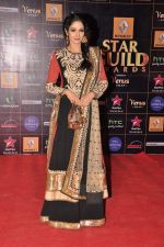 Sridevi at Star Guild Awards red carpet in Mumbai on 16th Feb 2013 (50).JPG