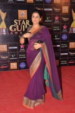 Vidya Balan at Star Guild Awards red carpet in Mumbai on 16th Feb 2013 (141).JPG