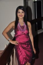 at Sophia college_s Tvashtar 2013 Show in Mumbai on 17th Feb 2013 (1).JPG