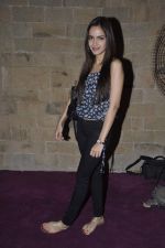 Shazahn Padamsee at Lior Suchard show in Mumbai on 18th Feb 2013 (20).JPG
