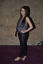 Shazahn Padamsee at Lior Suchard show in Mumbai on 18th Feb 2013 (22).JPG