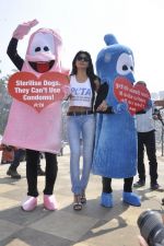 Sherlyn Chopra at PETA_s safe sex for animals campaign in Mumbai on 19th Feb 2013 (13).JPG