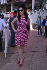 Sophie Chaudhary at Poonawala race in Mumbai on 24th Feb 2013 (109).JPG