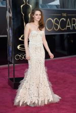 Oscar Award 2013 on 24th Feb 2013(770).jpg