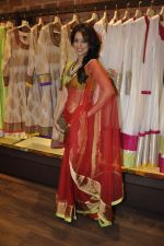 Vidya Malvade at designer Sonam M store in Lower Parel, Mumbai on 27th Feb 2013 (24).JPG