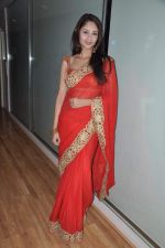 at Model Sucheta Sharma_s wedding bash with Harrison in Malad, Mumbai on 2nd March 2013 (1).JPG