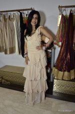 Shibani Kashyap at Amy Milloria_s Womens day fashion event in Mumbai on 5th March 2013 (25).JPG