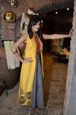 at Kiran and Meghna_s MYOHO Wills Lifestyle Autumn Winter 2013 collection showcase in Melange, Mumbai on 9th March 2013 (44).JPG