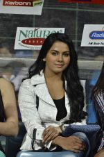 at CCL Grand finale at Bangalore on 10th March 2013 (34).JPG