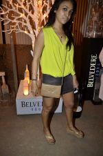 Surily Goel at India Design Forum hosted by Belvedere Vodka in Bandra, Mumbai on 11th March 2013 (224).JPG