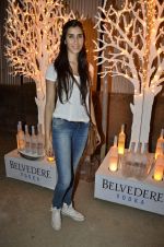 at India Design Forum hosted by Belvedere Vodka in Bandra, Mumbai on 11th March 2013 (171).JPG