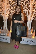 at India Design Forum hosted by Belvedere Vodka in Bandra, Mumbai on 11th March 2013 (176).JPG