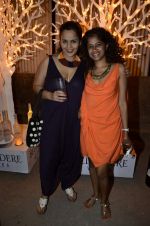 at India Design Forum hosted by Belvedere Vodka in Bandra, Mumbai on 11th March 2013 (184).JPG