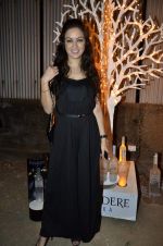 at India Design Forum hosted by Belvedere Vodka in Bandra, Mumbai on 11th March 2013 (260).JPG