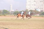 at Yes Bank International Polo Cup Match in Mahalaxmi Race Course, Mumbai on 16th March 2013 (67).JPG