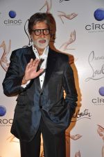 Amitabh Bachchan at the launch of Christian Louboutin store launch in Fort, Mumbai on 20th March 2013 (42).JPG