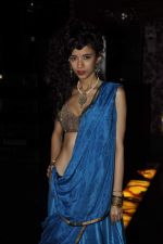 Saba Azad at Bartender album launch in Sheesha Lounge, Mumbai on 20th March 2013 (11).JPG