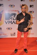at MTV Video Music Awards 2013 in Mumbai on 21st March 2013 (32).JPG