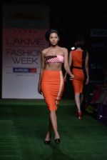 Model walk the ramp for Shivan Naresh Show at Lakme Fashion Week 2013 Day 1 in Grand Hyatt, Mumbai on 22nd March 2013 (59).JPG