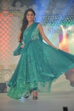 Model walk for Neeta Lulla_s Shehnai collection in J W Marriott, Mumbai on 29th March 2013 (67).JPG