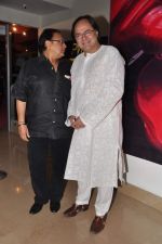 Farooq Sheikh, Rakesh Bedi at Chashme Buddoor special screening in PVR, Mumbai on 3rd April 2013 (66).JPG
