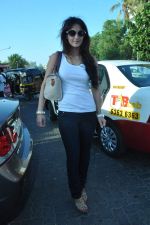 Tulip Joshi at don_t drink and drive campaigh by tab cab in Carters, Mumbai on 5th April 2013 (12).JPG