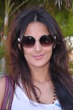 Tulip Joshi at don_t drink and drive campaigh by tab cab in Carters, Mumbai on 5th April 2013 (27).JPG