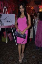 Nisha Jamwal at Elle Carnival in aid of Womens Cancer Initiative a foundation set up by Devieka Bhojwani in Mumbai on 7th April 2013 (51).JPG