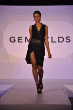 Gemfields Celebrates 2013 Global Launch and Exclusive Collaborations with International Jewellery Designers in Mumbai on 11th April 2013 (18).JPG